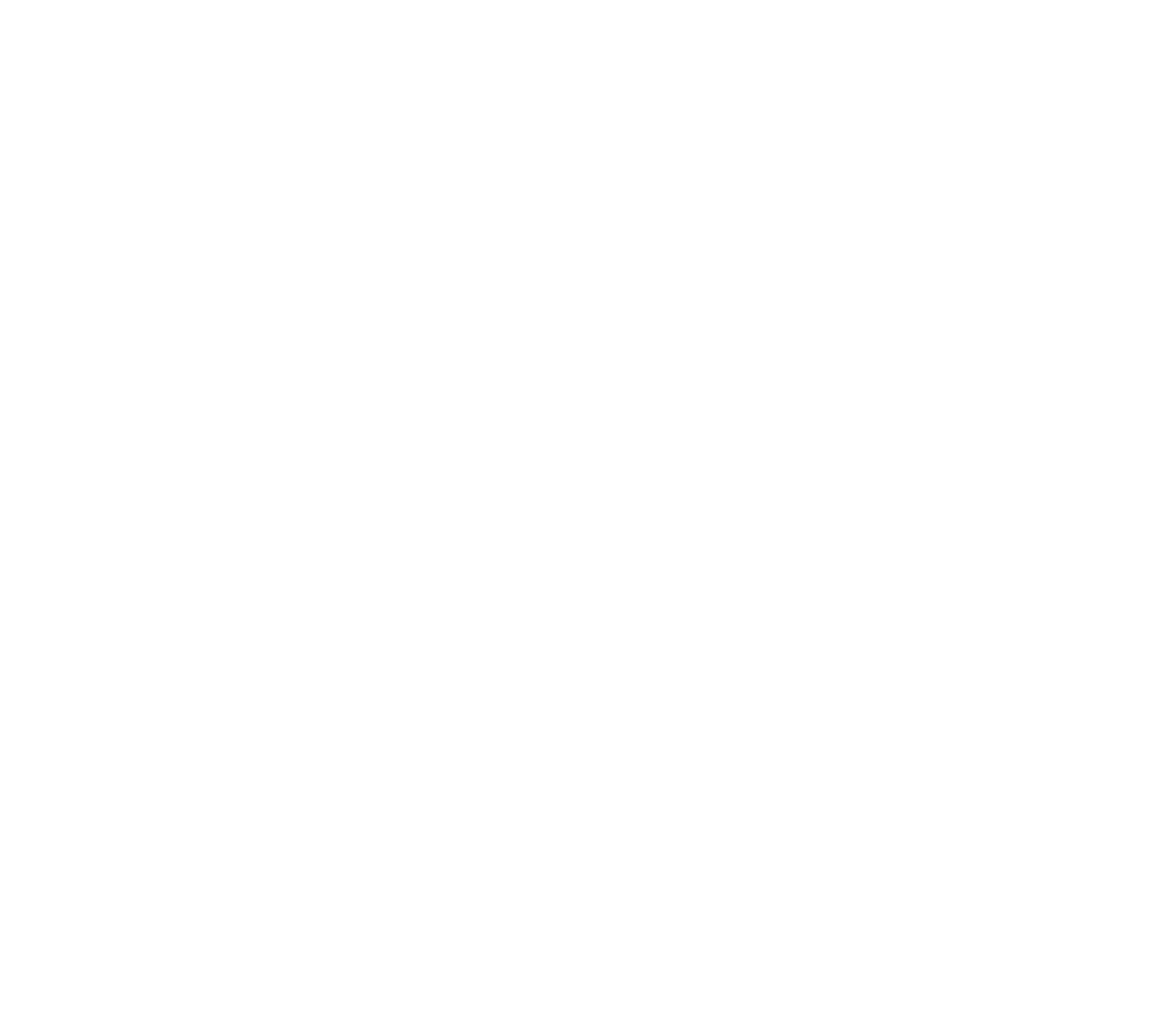 NVG Store Logo